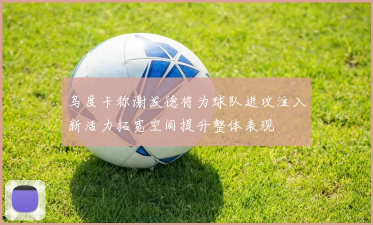 乌度卡称谢泼德将为球队进攻注入新活力拓宽空间提升整体表现