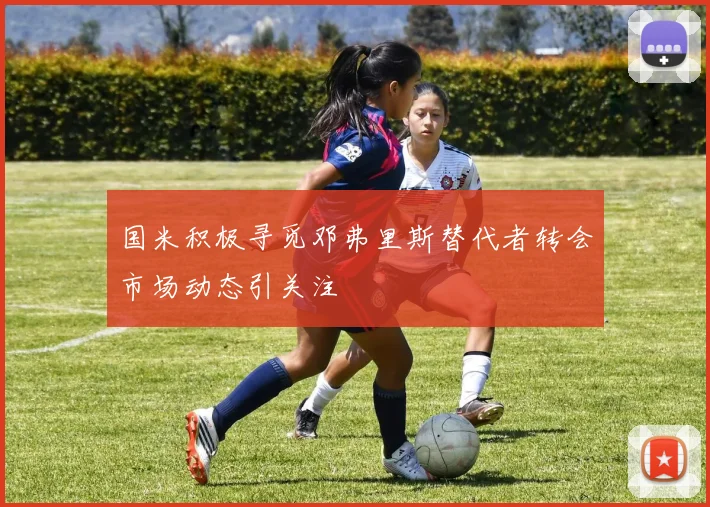 国米积极寻觅邓弗里斯替代者转会市场动态引关注
