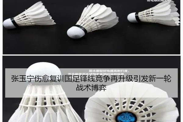 张玉宁伤愈复训国足锋线竞争再升级引发新一轮战术博弈 | LDSPORTS